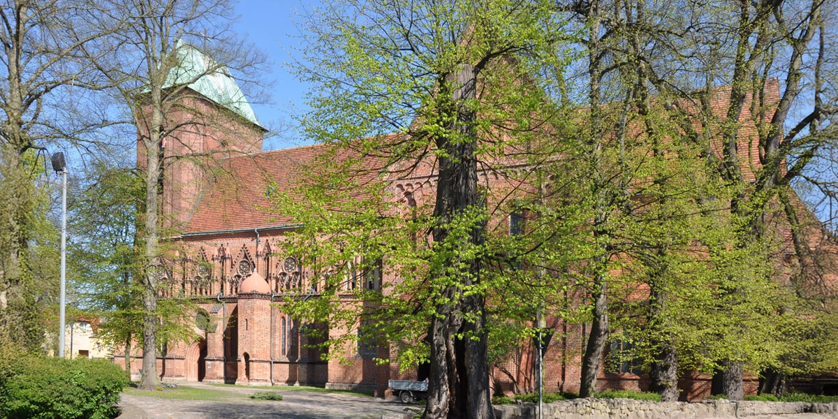 Gotischer Dom zu Cammin in Kamień Pomorski, dreischiffige Backsteinbasilika mit Chor, Querhaus und Apsis im Grünen.