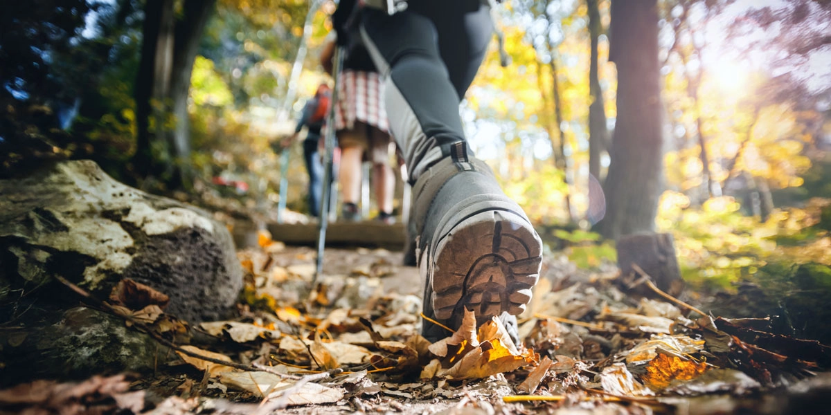 Wanderer auf einem Waldpfad im Nationalpark Wollin mit herbstlichen Blätter und herrlicher Naturkulisse