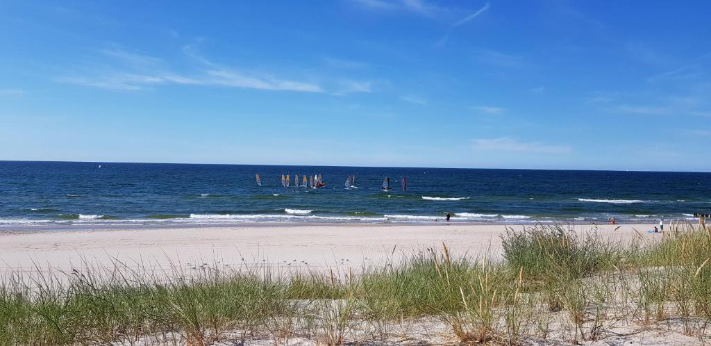 Sandstrand von Dziwnów an der Ostsee mit Dünen im Vordergrund und Windsurfern auf dem Meer unter blauem Himmel.
